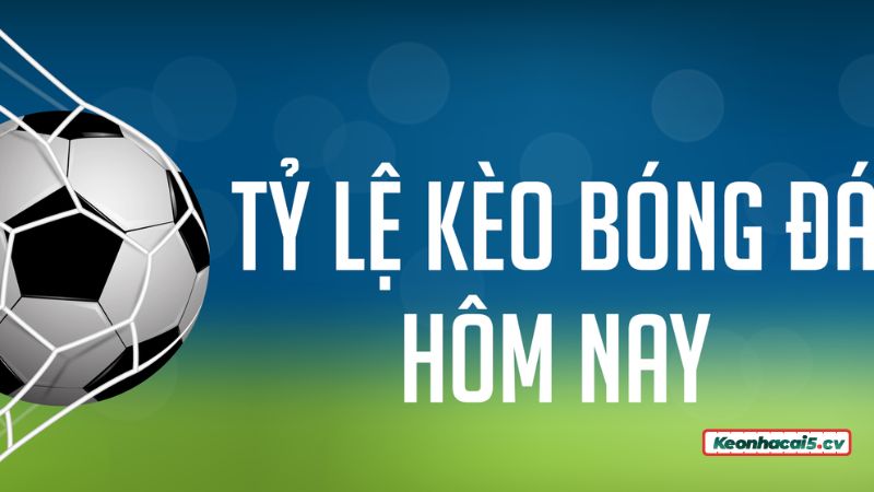 Cập nhật bảng kèo bóng đá trực tuyến có thể quyết định vấn đề thắng thua khi chơi Cập nhật bảng kèo bóng đá trực tuyến có thể quyết định vấn đề thắng thua khi chơi