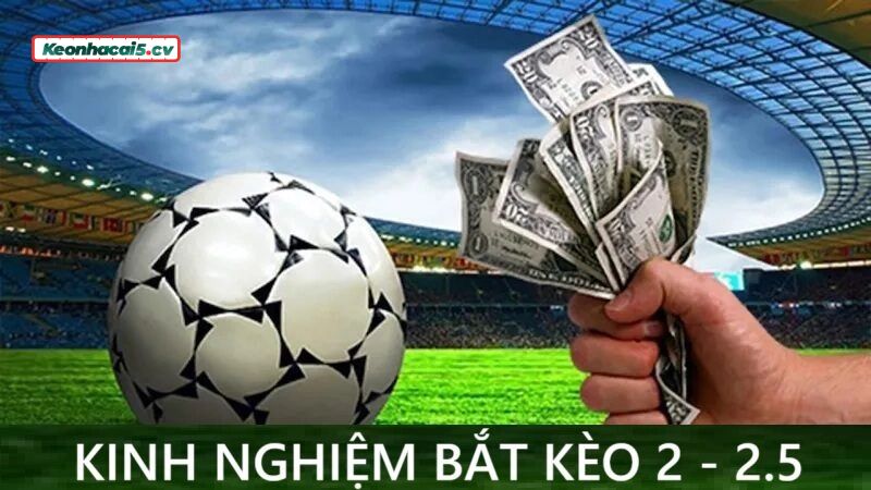 Tham gia soi kèo chấp 2 trái rưỡi không nên dựa vào tên tuổi đội bóng Tham gia soi kèo chấp 2 trái rưỡi không nên dựa vào tên tuổi đội bóng