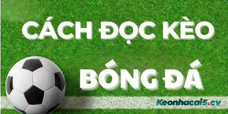 Những loại kèo bóng đá nào phổ biến Những loại kèo bóng đá nào phổ biến
